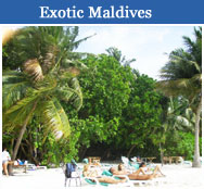 Maldives Tour Operators Info