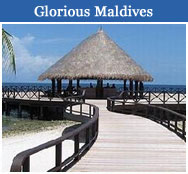 Maldives Tour Operators Info