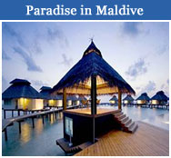 Maldives Tourism Info